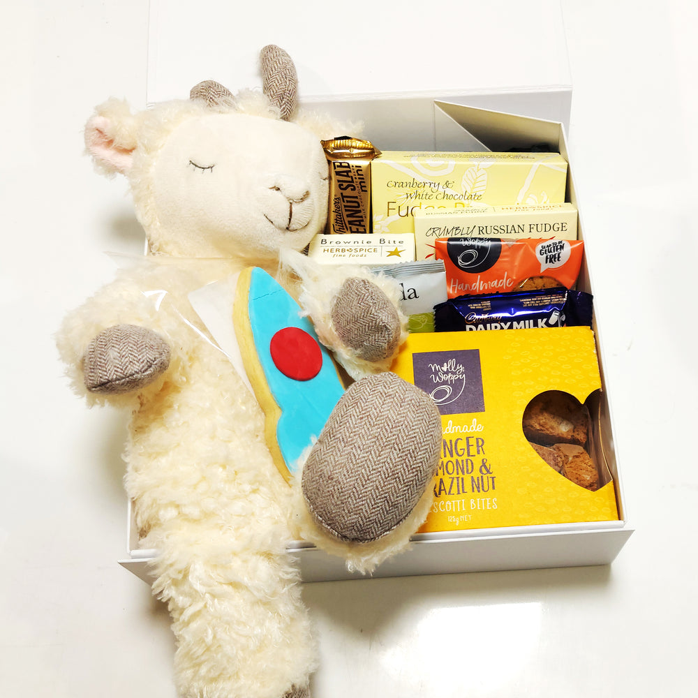 Billy's Dilemma New baby gift box with cute Billy goat soft toy, Brownies, Russian Fudge and more small snacks. Presented in a modern gift box.