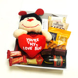 Romantic gift basket with soft toy, fudge, brownie, & chocolate presented in a modern gift box.